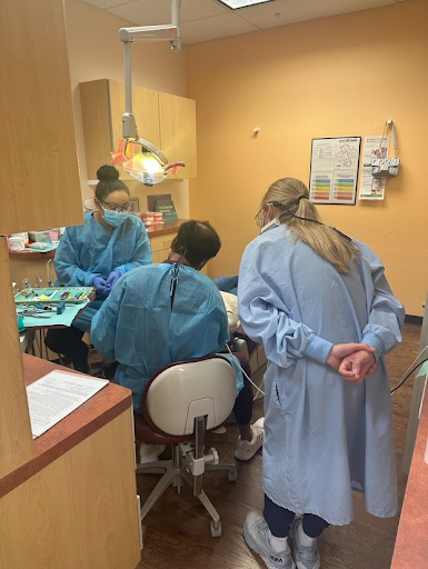 Valley-Wide Endodontist teaching students